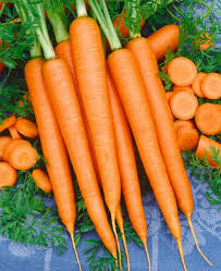 Carrot Seeds Tendersweet Non-GMO Heirloom Daucus carota for Gardens & Containers, Sweet Crisp Root Vegetable