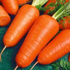 Chantenay Red Cored Carrot Seeds | Organic Heirloom Daucus carota | Sweet, Easy to Grow Vegetable Seeds