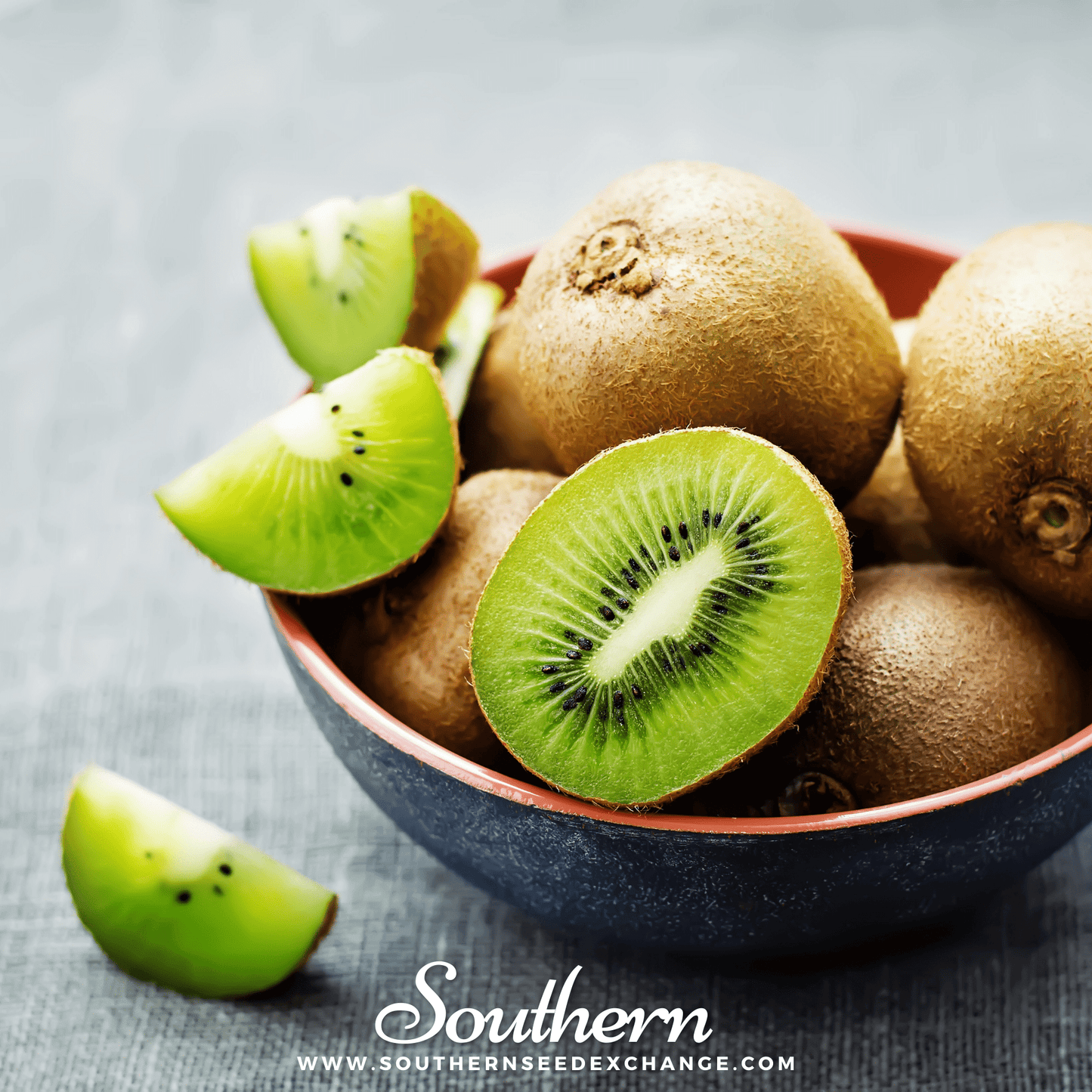 Kiwi Fruit Seeds – Heirloom Actinidia chinensis – Tropical Climbing Vine for Garden Trellis and Arbor