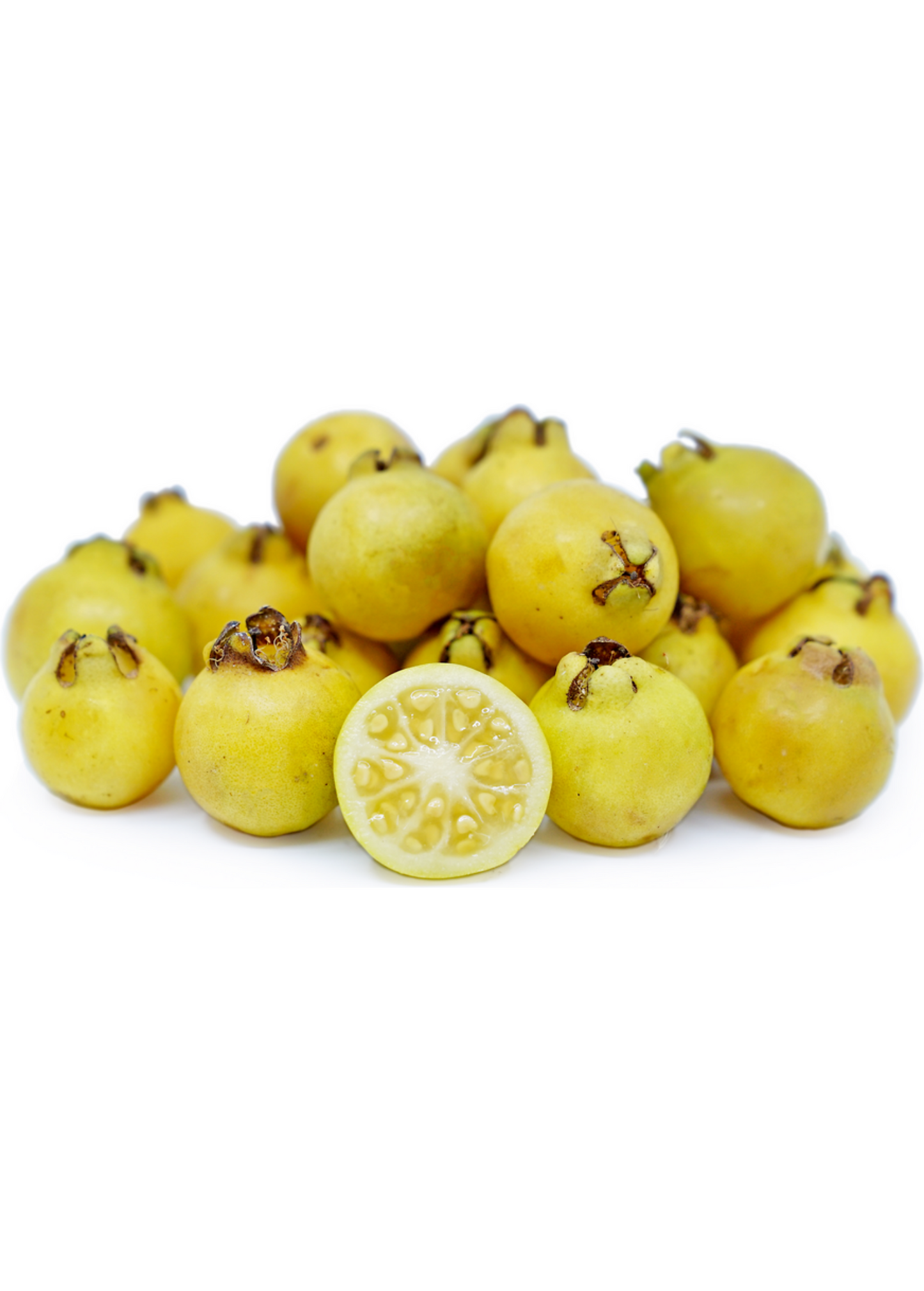 Guava Tree Lemon (Psidium littorale) - Edible Fruit Plant, Small Sub-Tropical Tree for Containers and Gardens