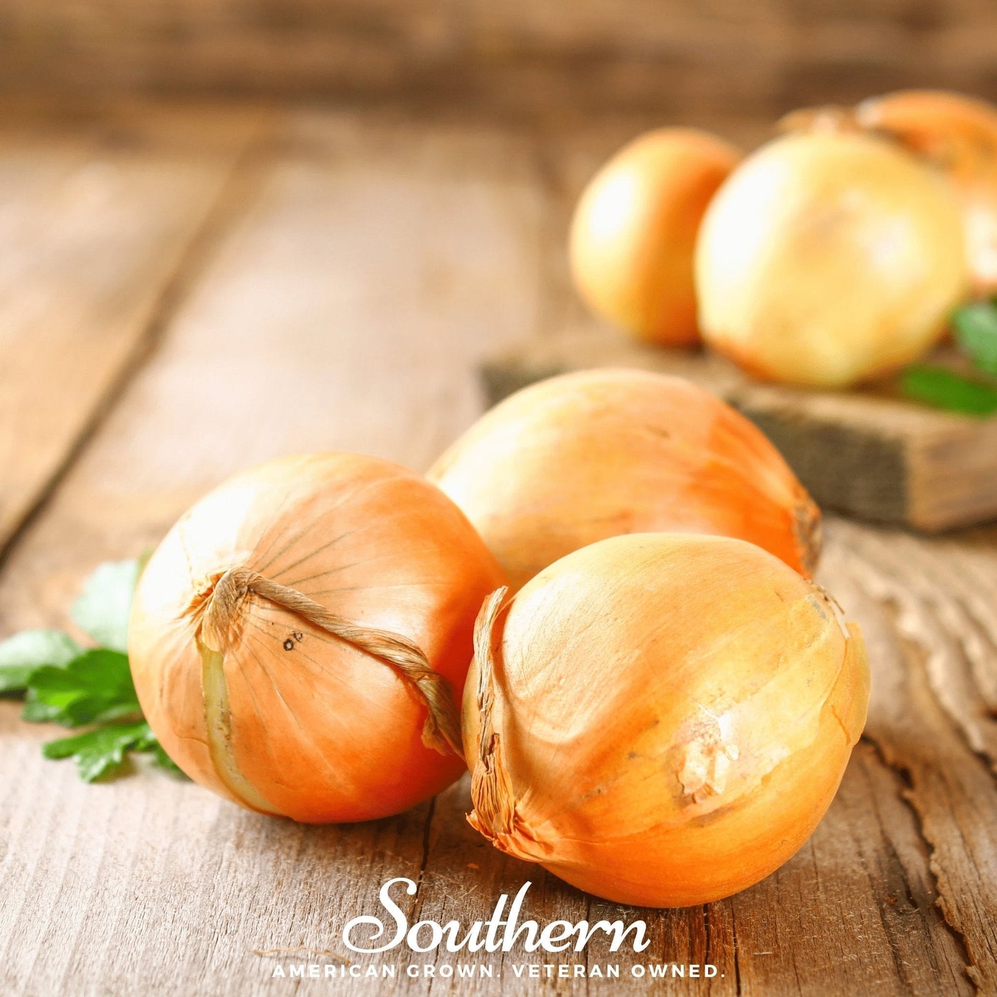 Utah Yellow Spanish Onion Seeds – Heirloom Allium cepa for Large Globe-Shaped Bulbs, Pungent Flavor, Long Storage, 200 Seeds