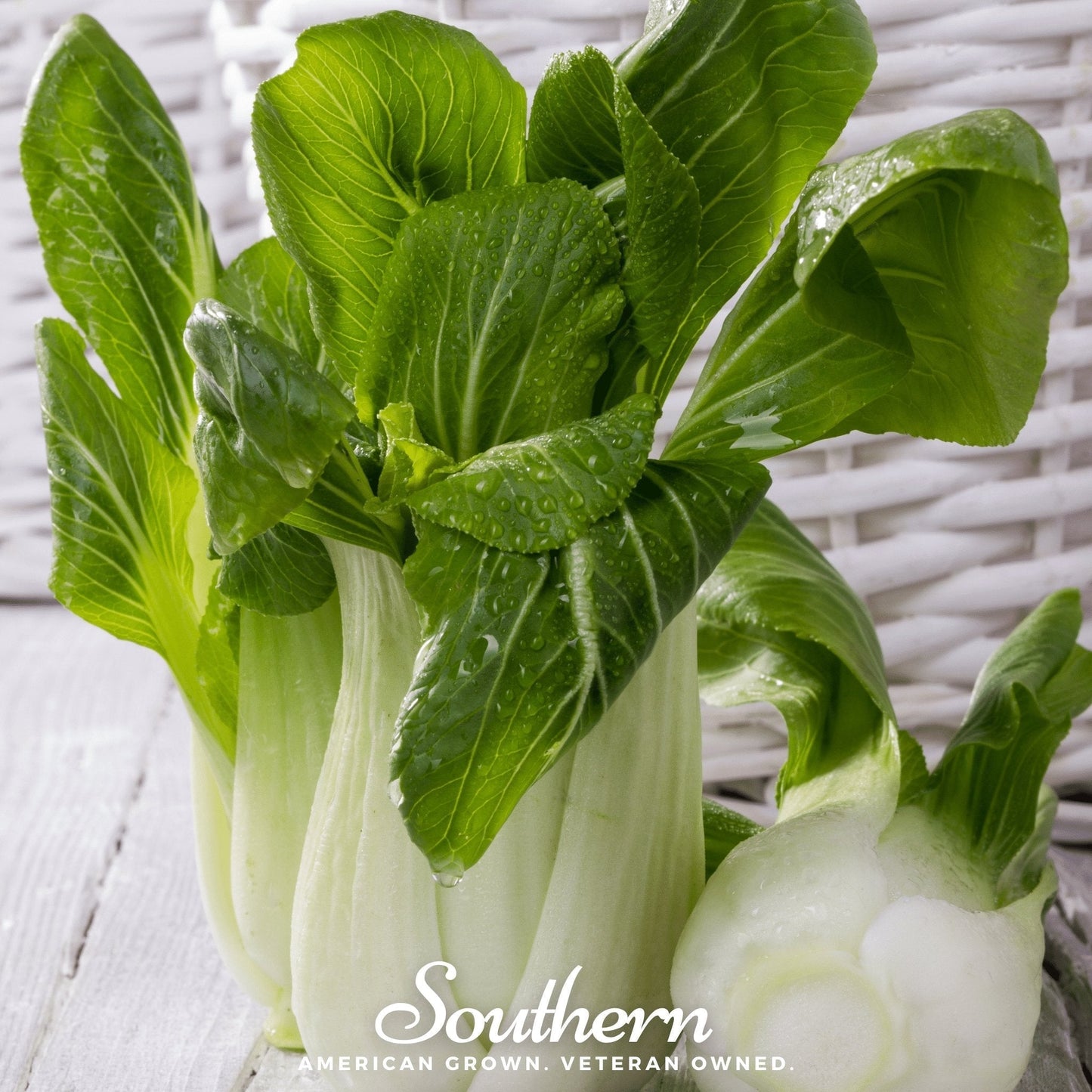 Canton Pak Choi Seeds – 100 Heirloom Brassica rapa for Crisp White Stalks & Tender Green Leaves