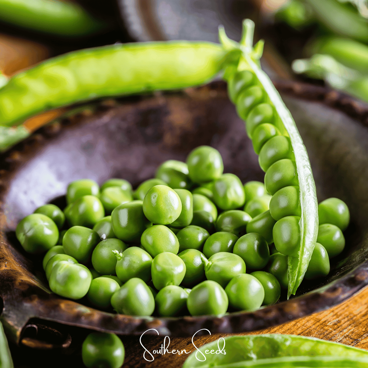 Early Frosty Peas Seeds β Heirloom, Open Pollinated, Cold Tolerant Pisum sativum, 25 Seeds