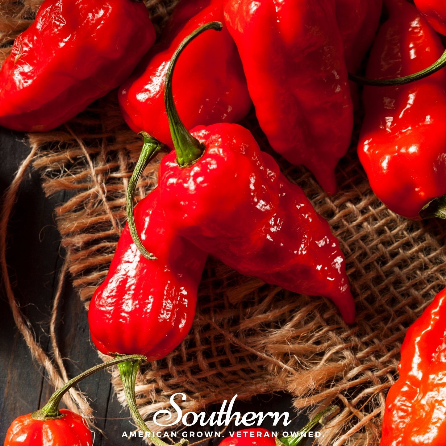 Ghost Pepper Seeds – Red Bhut Jolokia – Heirloom Non-GMO Capsicum annuum for Hot Chili Cultivation