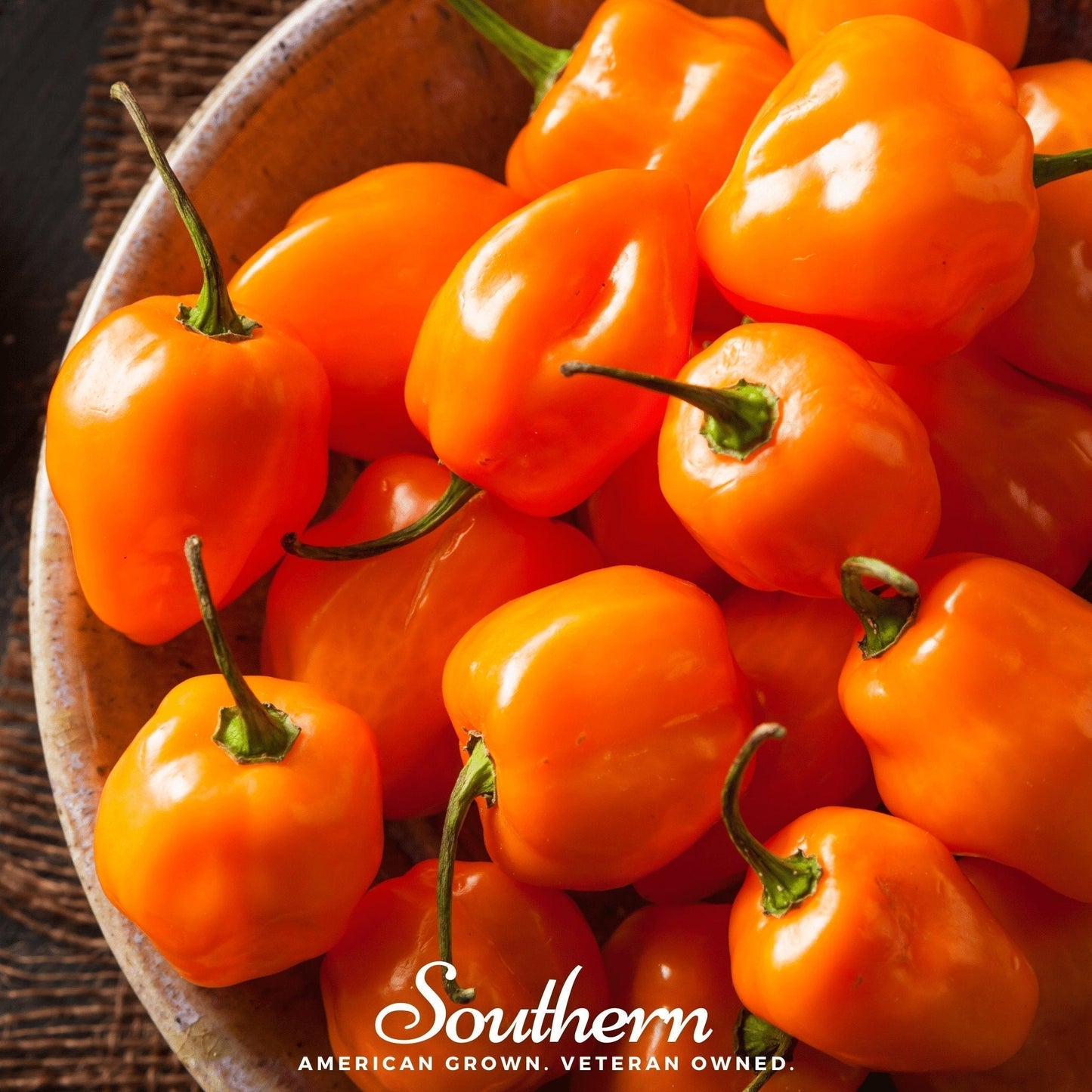 Orange Habanero Pepper Seeds – Heirloom Non-GMO Capsicum chinense, 30 Seeds for Hot Chili Peppers Cultivation
