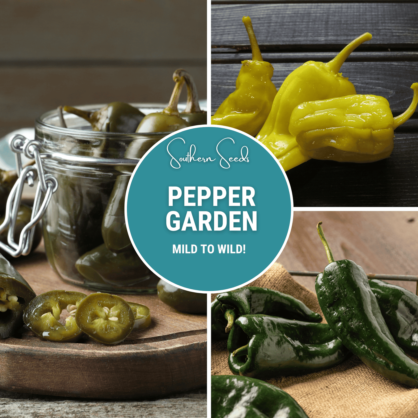 Pepper Seed Collection 6 Heirloom Varieties Non-GMO Culinary Seeds for Salsas, Stuffing, Spices, and Fresh Eating