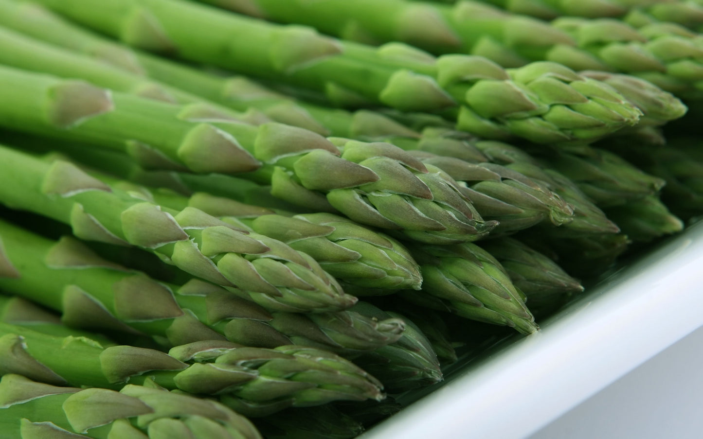 Millennium Asparagus 5 Bare Root Crowns – 2 Year Old Asparagus officinalis Plants