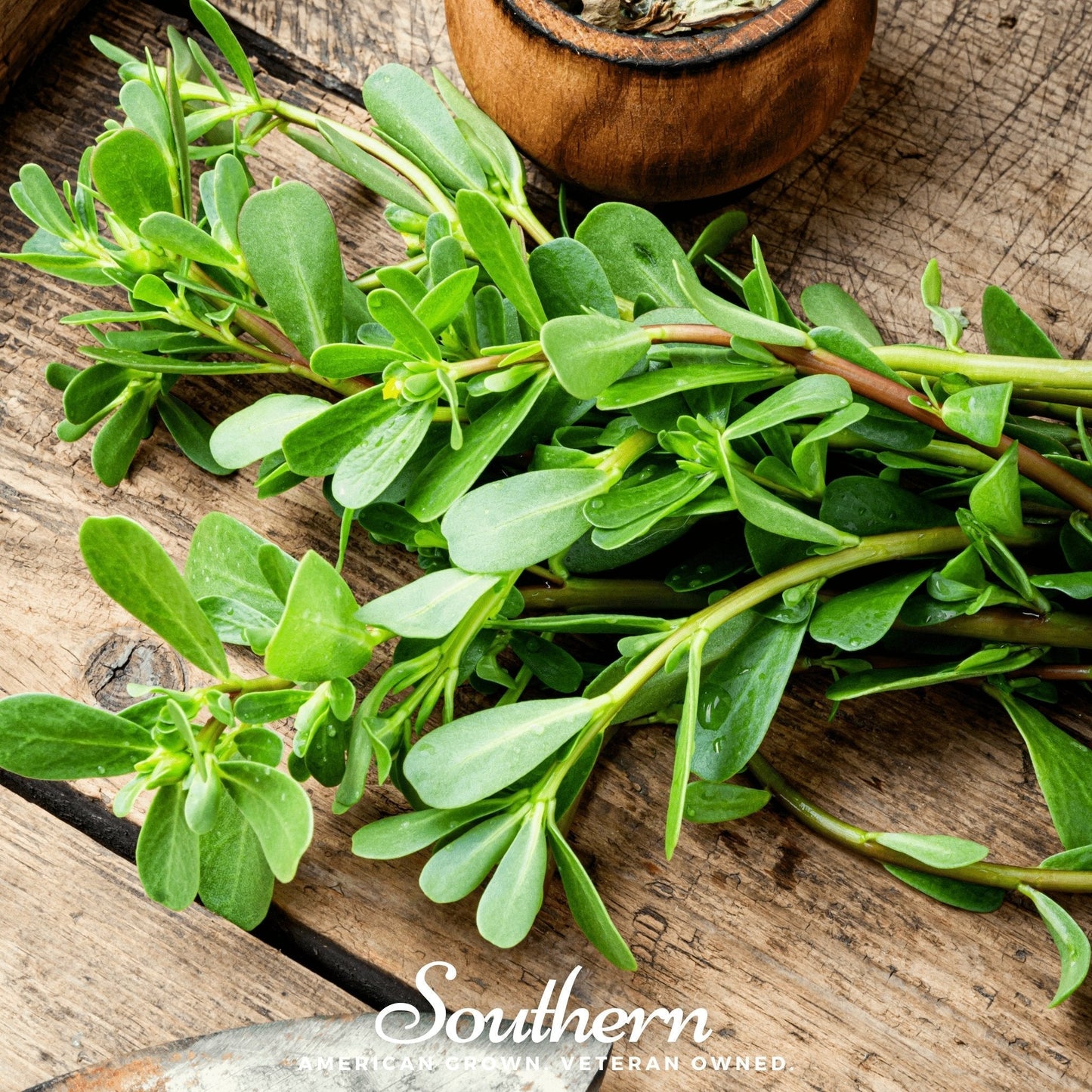Purslane Seeds 100 Pack | Heirloom Green Portulaca oleracea | Nutritious Superfood for Salads & Stir-Fries