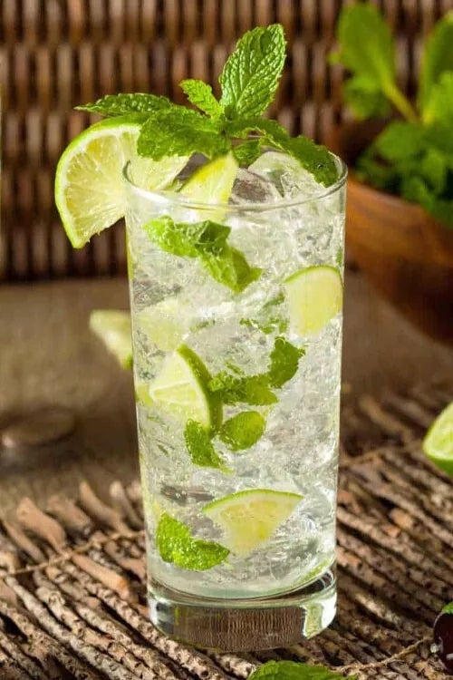 Mojito Mint Plant Organic Mentha x villosa Live Culinary & Medicinal Herb