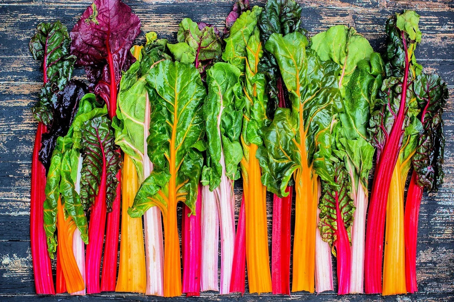 Bright Lights Swiss Chard Seeds - 200+ Colorful Foliage Seeds for Edible Garden - Beta vulgaris subsp. cicla