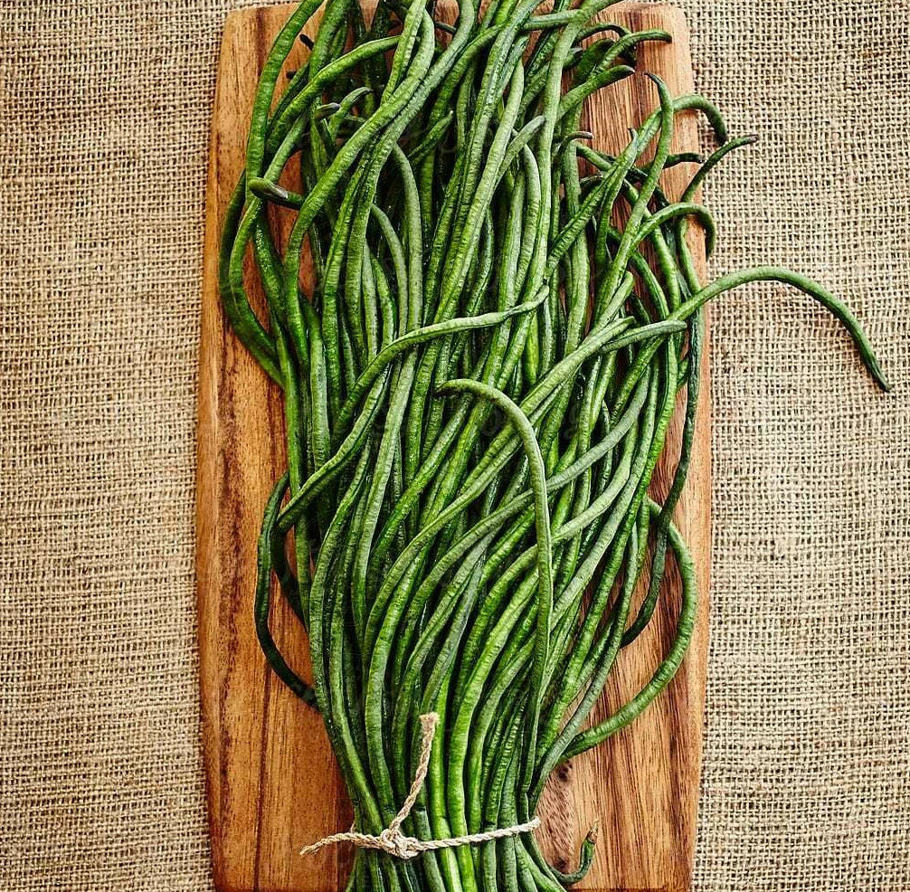 Yard Long Bean Seeds | Asian Asparagus Green Beans | Vigna unguiculata subsp. sesquipedalis | Heirloom, Non-GMO, USA Grown
