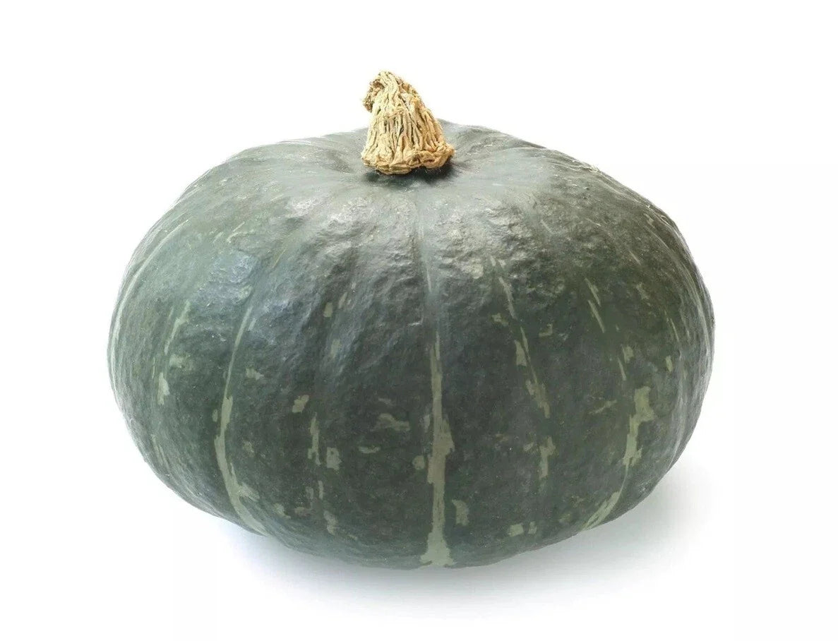 Kabocha Pumpkin Seeds - 10+ Organic Japanese Cucurbita maxima for Cooking & Gardening