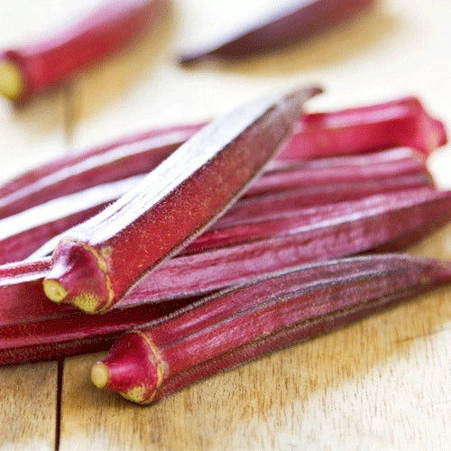 Red Burgundy Okra Seeds 50 Ct - Non-GMO Vegetable Seeds - Abelmoschus esculentus - USA Seller