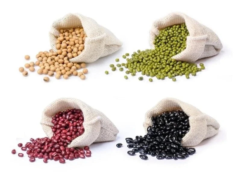 Bean Seed Bundle - Soybeans, Mung Beans, Adzuki Beans, Black Soybean - Organic, Heirloom, Home Garden, Edible Legumes
