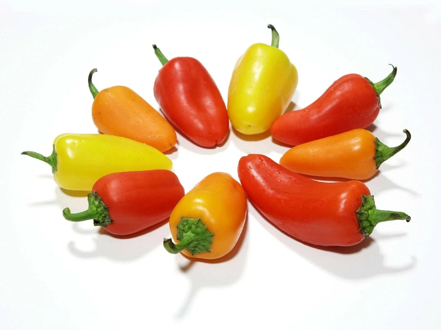 Santa Fe Grande Hot Pepper Seeds – Heirloom Capsicum annuum for Spicy Yellow-Orange Peppers, 20 Seeds