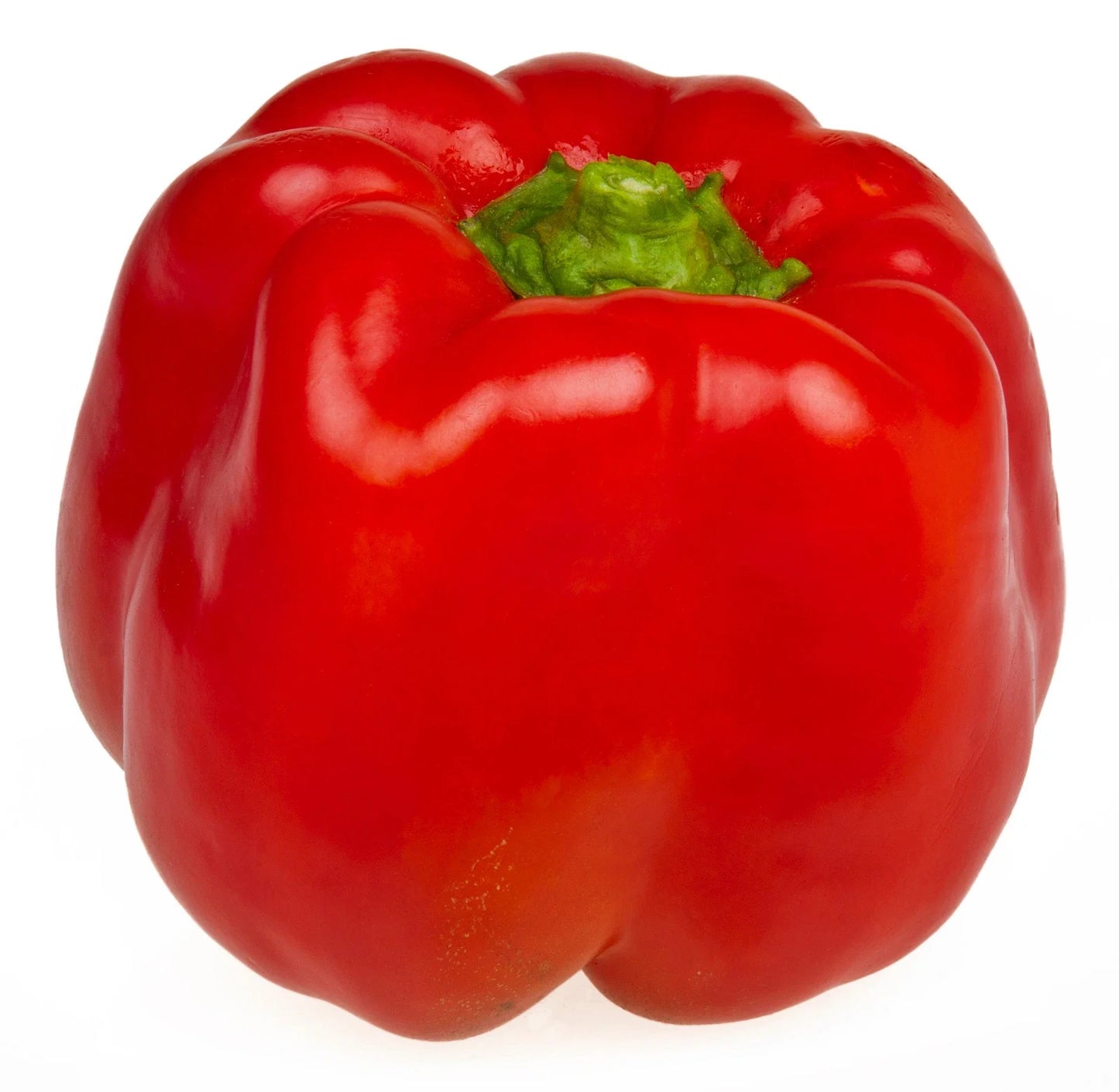 Big Red Sweet Pepper Seeds - Blocky Large Fruit, Very Sweet, Thick Flesh, Capsicum annuum, 20 Seeds