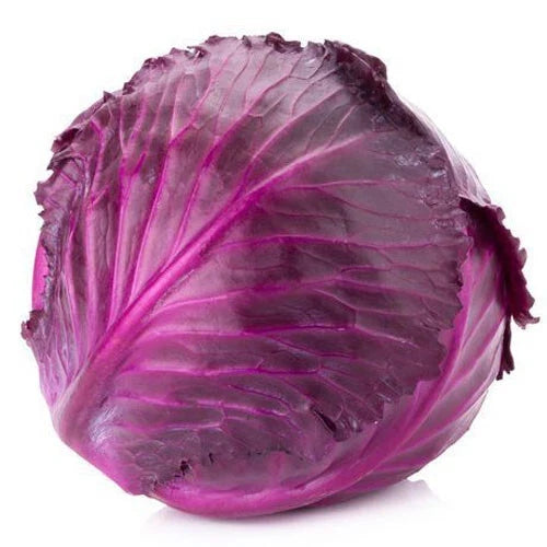 300+ Non-GMO Red Acre Cabbage Seeds, Brassica Oleracea, Vegetable Garden Seeds for Home Growing
