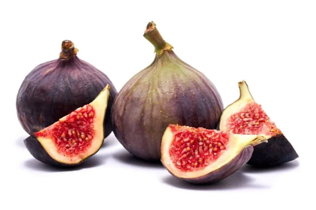 Texas Blue Giant Fig Seeds - 100+ Count, Ficus carica, Organic, Non-GMO, Full Sun, Garden Planting, USA Grown