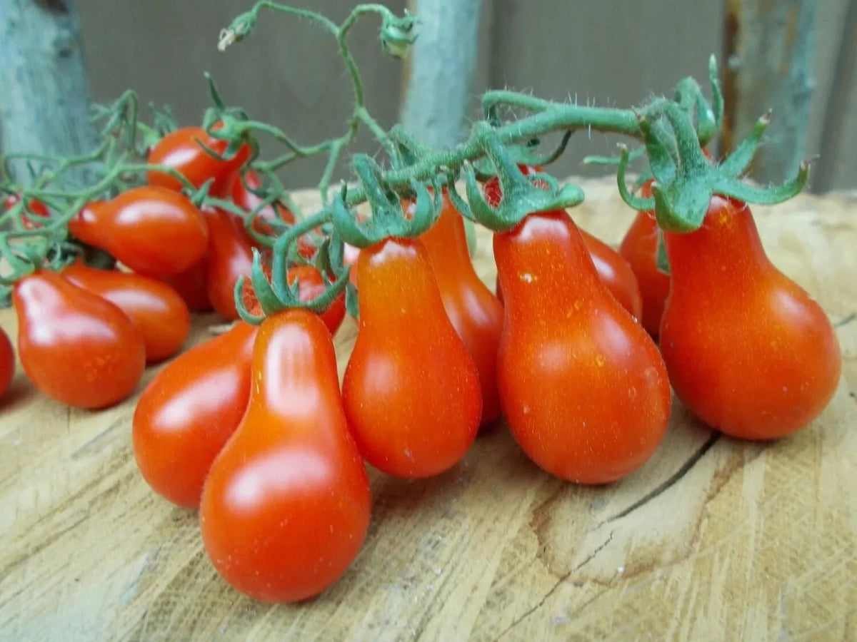 Red Pear Tomato Seeds - Heirloom, Non-GMO, Juicy Fruit, Lycopersicon esculentum, Seed Packet