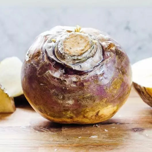 American Purple Top Rutabaga Seeds - Non-GMO Brassica napus - 2000 Count Heirloom Vegetable Seeds