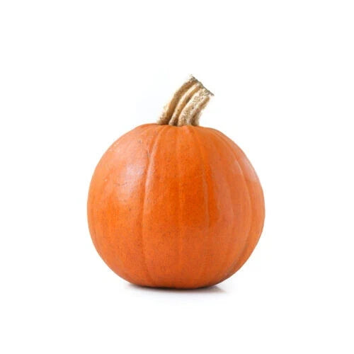 Sugar Pie Pumpkin Seeds - 25+ Packets for Gardening - Cucurbita pepo - Heirloom, Non-GMO, Fall Harvest, Baking Pies