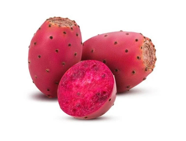 Cold-Hardy Prickly Pear Opuntia Cactus Seeds – Sweet Fruit, High Antioxidant, Clumping, Opuntia spp.