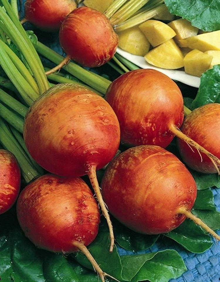 Golden Detroit Beet Seeds – Non-GMO Heirloom Beta vulgaris for Vegetable Garden Planting, Full Sun, 200 Seeds
