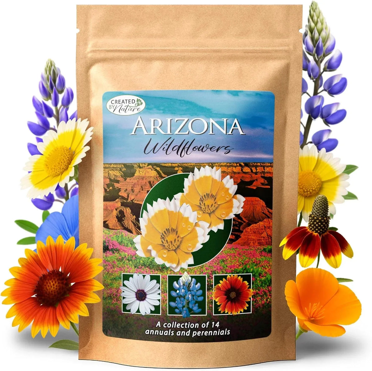 Arizona Wildflower Seed Mix - 14 Native Flower Varieties Including Poppies & Lupines - 3 oz Packet