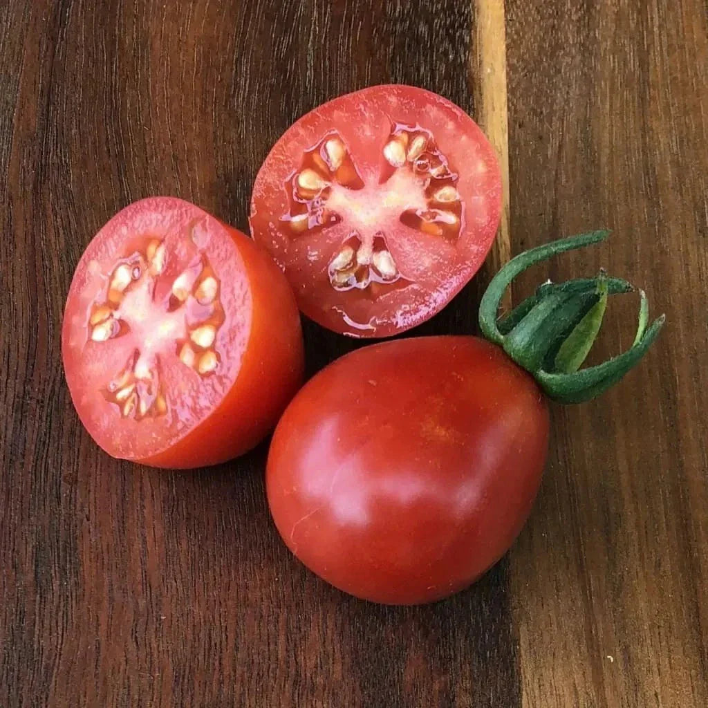 30+ Napoli Tomato Seeds | Heirloom Organic Non-GMO Solanum lycopersicum