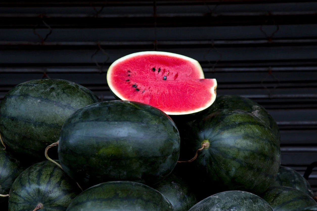 Florida Giant Watermelon Seeds - 10 Pack, Black Diamond Variety, Citrullus lanatus, Large Juicy Fruits for Home Gardens