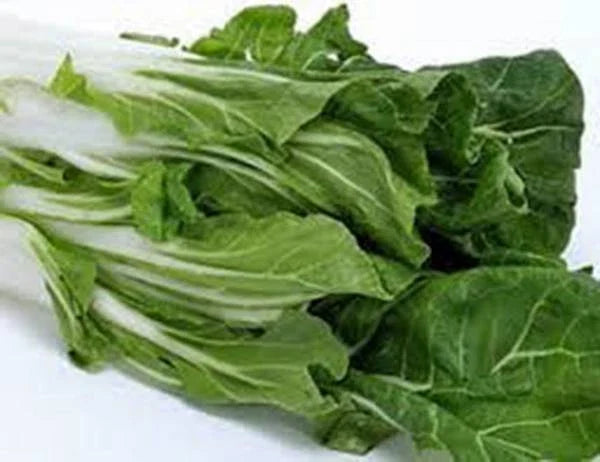 Swiss Chard Seeds, Heirloom Large White Ribbed, Non-GMO, Beta vulgaris subsp. vulgaris, Leafy Green, 100 Seeds