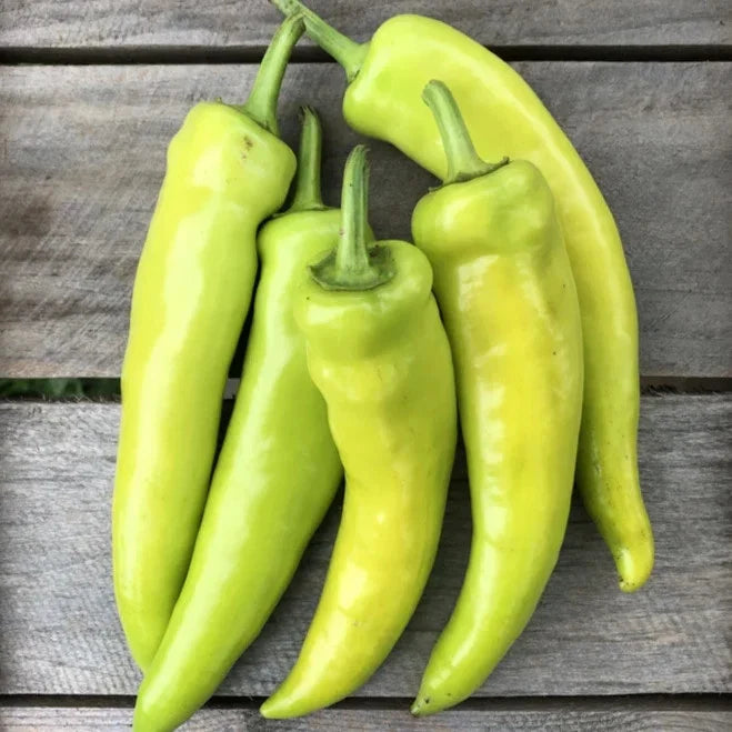 Hungarian Hot Wax Pepper Seeds - 100+ Count, Capsicum annuum, Spicy 15,000 Scoville, Perfect for Pickling & Salsas, Garden or Container