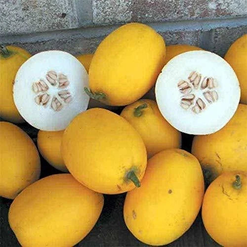 Mango Seeds Vine Peach 25 Seeds Climbing Tropical Fruit Passiflora edulis Made in USA
