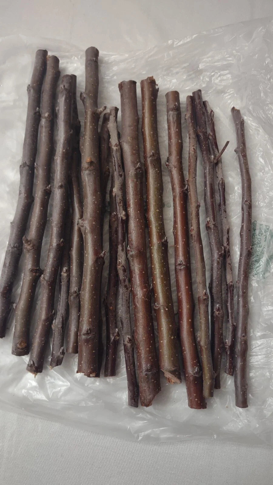 Golden Delicious Apple Tree Scions - 6 Organic Grafting Cuttings - Malus domestica for Home Orchard
