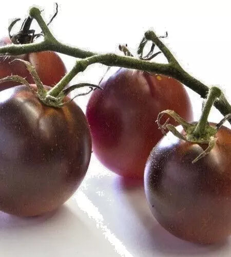 50 Organic Black Plum Tomato Seeds - Virginia Grown Heirloom Non-GMO High Yield