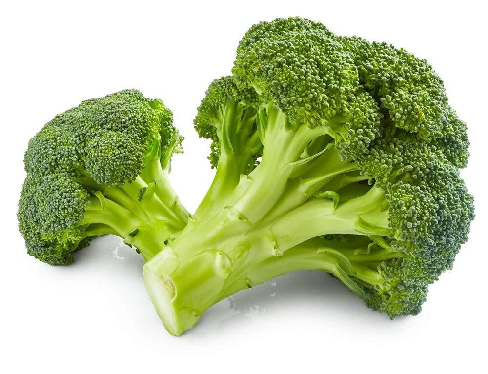 Broccoli Seeds 250 Count | Non-GMO Vegetable Seeds | Brassica oleracea var. italica | Organic Garden Seed Pack
