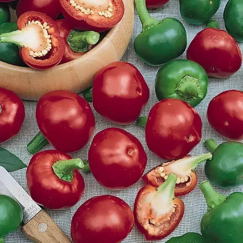Red Cherry Hot Pepper Seeds - 10+ Count Heirloom Organic Non-GMO Pimenta