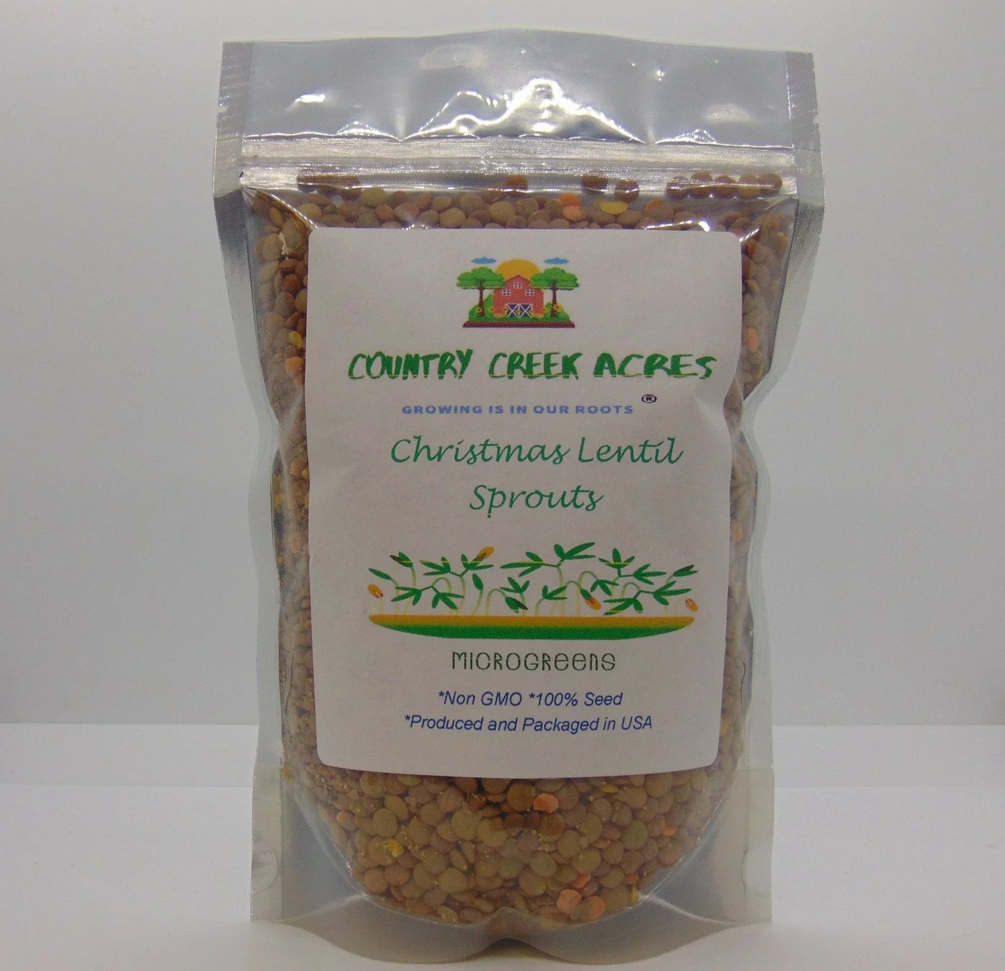 Organic Green Lentils 4 oz - Nutrient-Rich Legumes for Cooking & Sprouting - Lens culinaris