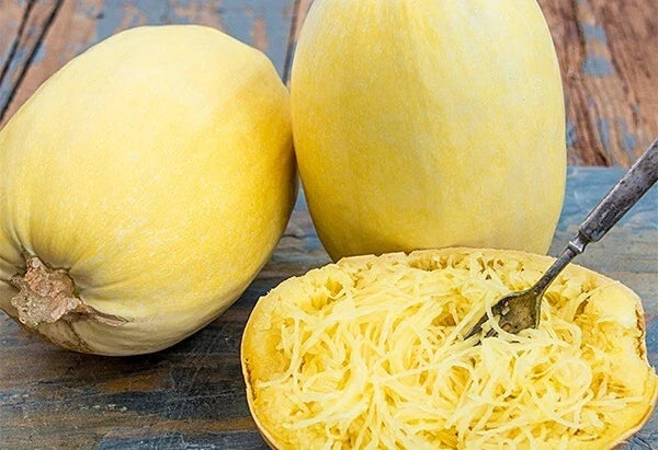 Spaghetti Squash Seeds - 5 Pack Cucurbita pepo Non-GMO Vegetable Seeds for Home Garden, Vining, Full Sun, Organic Gardening