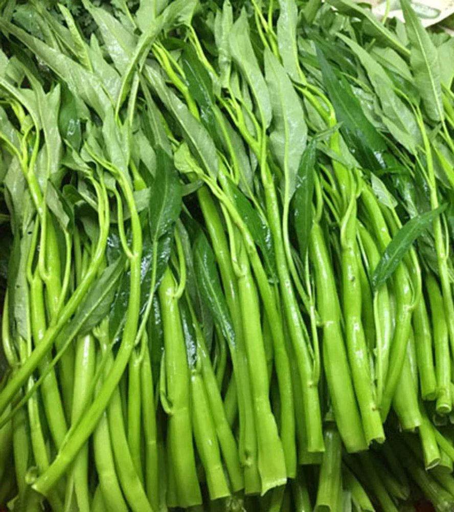 Thai Water Spinach Seeds - 50+ Ong Choy Kangkong - Fast Growing Edible Vegetable Ipomoea aquatica