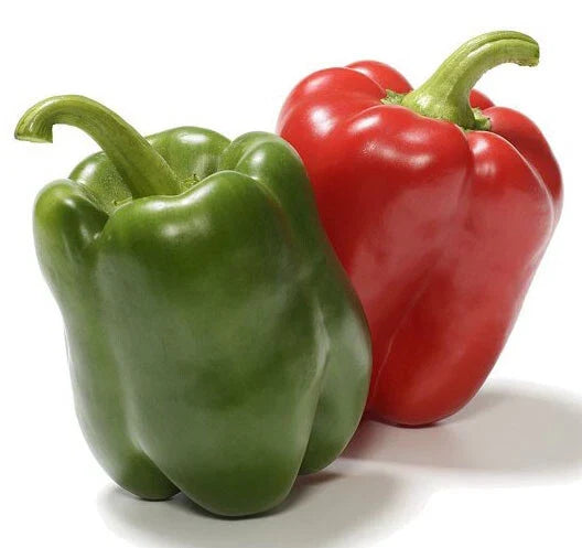 California Wonder Bell Pepper Seeds – Heirloom Non-GMO, 50+ Premium Seeds, Capsicum annuum, Sweet Bell Peppers for Home Garden, Patio, or Container