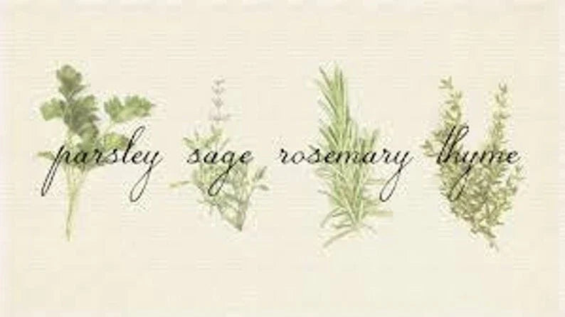 Culinary Herb Seed Set – Parsley, Sage, Rosemary, Thyme – Garden Seeds for Indoor & Outdoor Growing