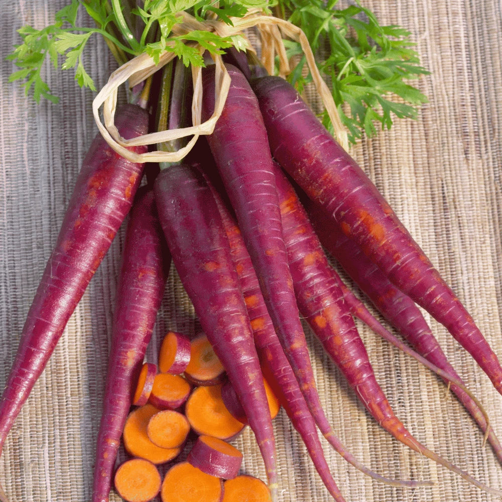 Cosmic Purple Carrot Seeds - Heirloom Daucus carota Vegetable Seeds