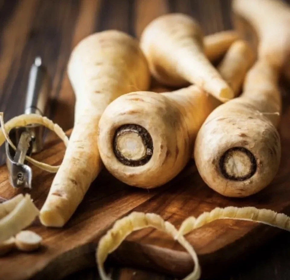 Hollow Crown Parsnip Seeds - 2000 Non-GMO Vegetable Garden Seeds - Pastinaca sativa for Home Gardening