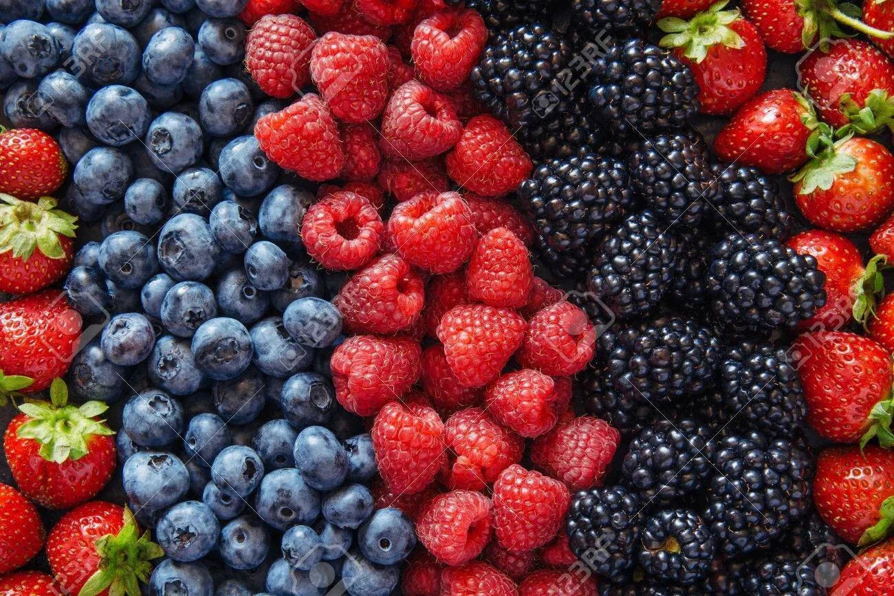 Berry Seed Set - Strawberry, Blueberry, Blackberry, Raspberry Seeds for Home Gardening