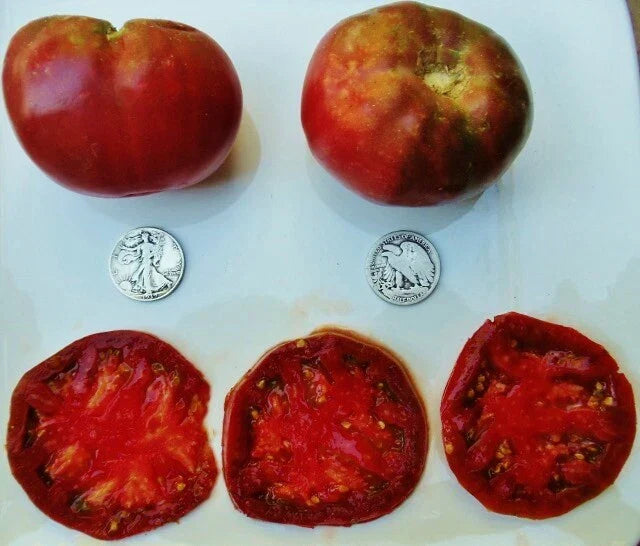 Cherokee Purple Tomato Seeds - 25 Count Heirloom Solanum lycopersicum