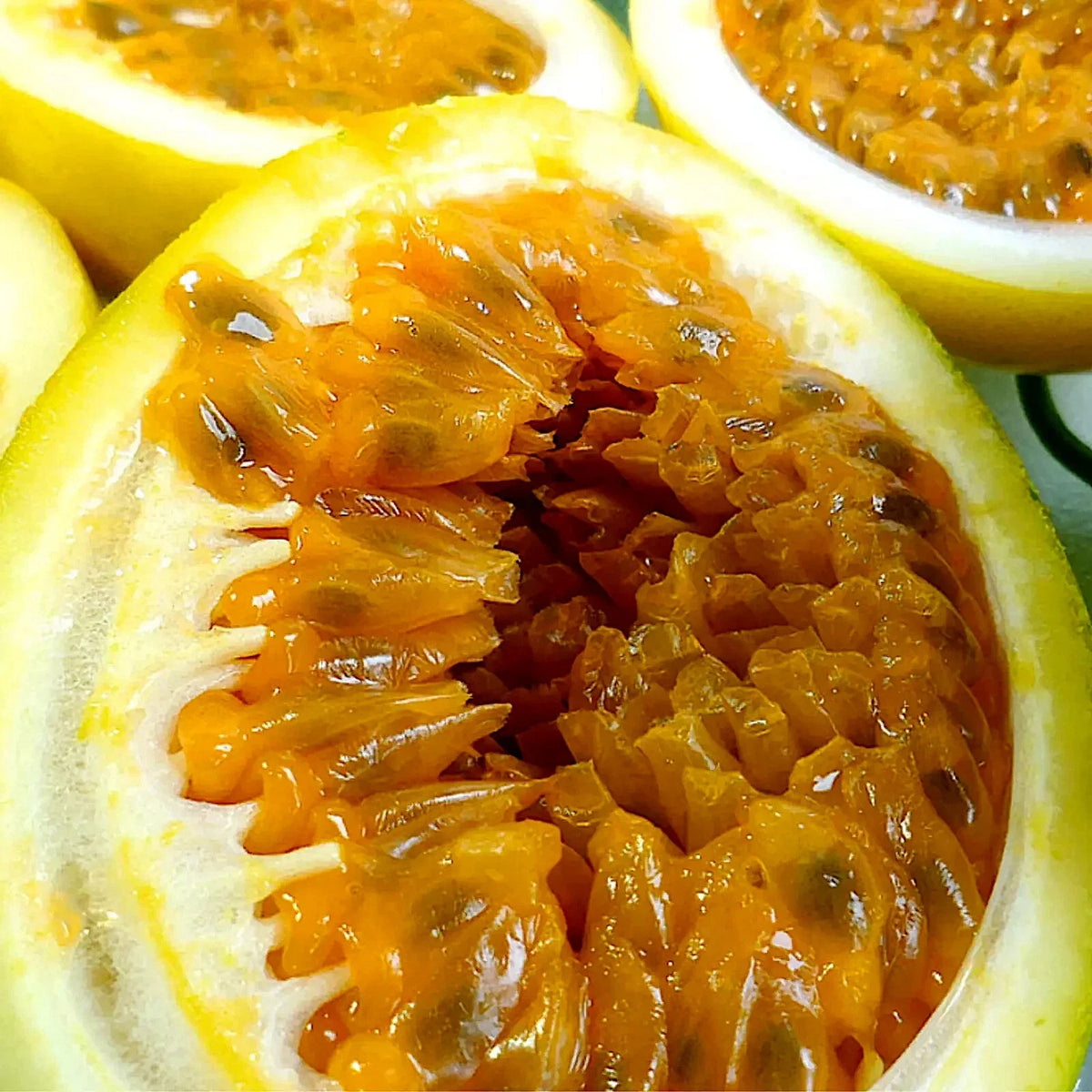Sweet Granadilla Seeds - Passiflora ligularis Climbing Vine for Tropical Garden, Yellow Passion Fruit, 10 Seeds