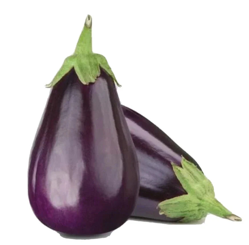 Black Beauty Eggplant Seeds - Non-GMO, Open Pollinated, Heirloom Solanum melongena, Pack of 200+ Seeds