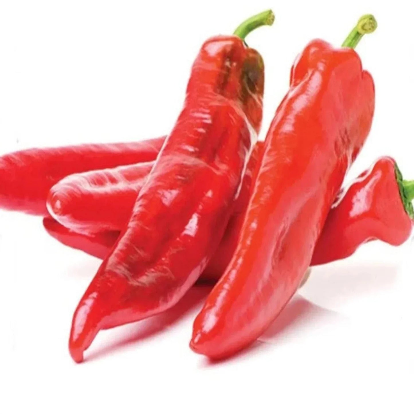 Guizeppi Chili Pepper Seeds - NuMex Mild Hatch Green Chile - Capsicum annuum