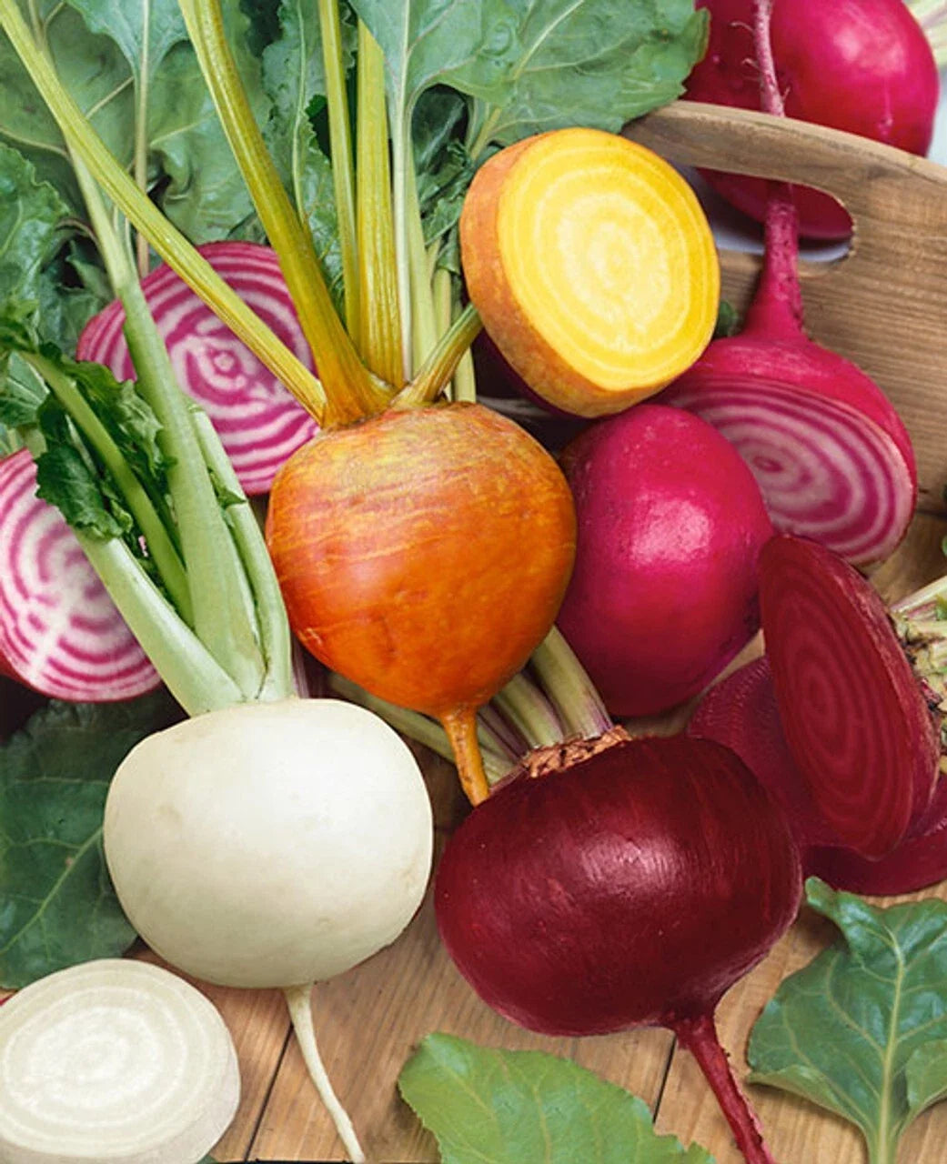 Rainbow Blend Beet Seeds - Heirloom Non-GMO Garden Seeds - Multiple Colors Beta vulgaris 50 Pack